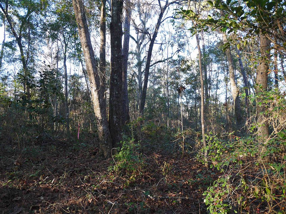 2nd image of Owls Nest Rd