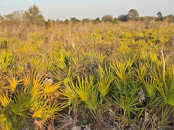 18334 NW 274th St, Okeechobee, FL 34972