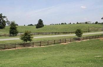 3rd image of 90 Hickory Downs Dr