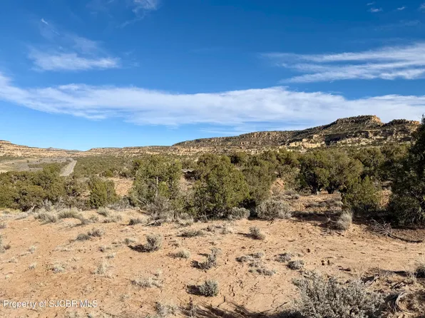 4440 Xx Rd, Blanco, NM 87412