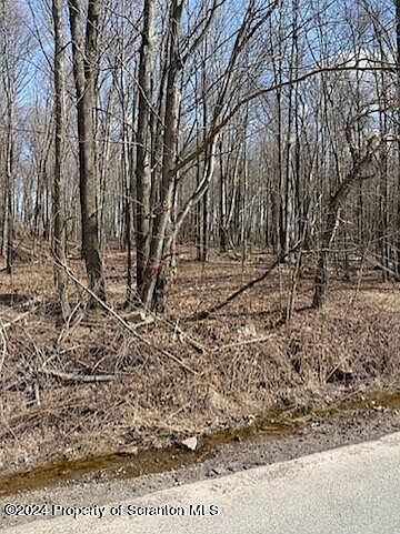 2nd image of 0 Maplewood Rd