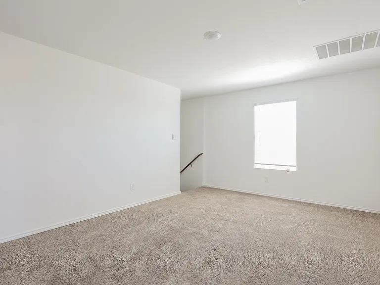 411 Filibusters Trl — Photo 10