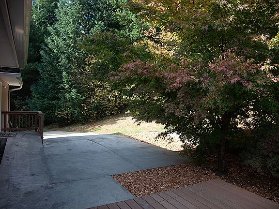 Back Driveway/Ramp from Deck