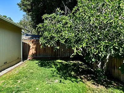 214 Sherland Ave — Photo 22