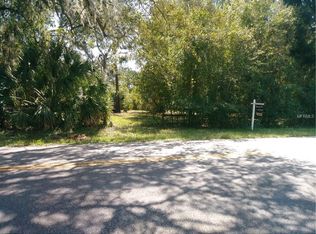 7424 N Mobley Rd, Odessa, FL 33556