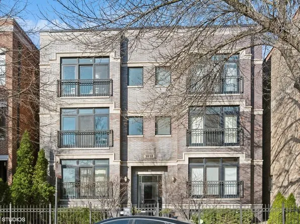 1018 S May St APT E, Chicago, IL 60608