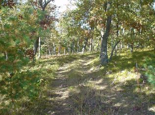 23530 Hoxeyville Rd, Wellston, MI 49689