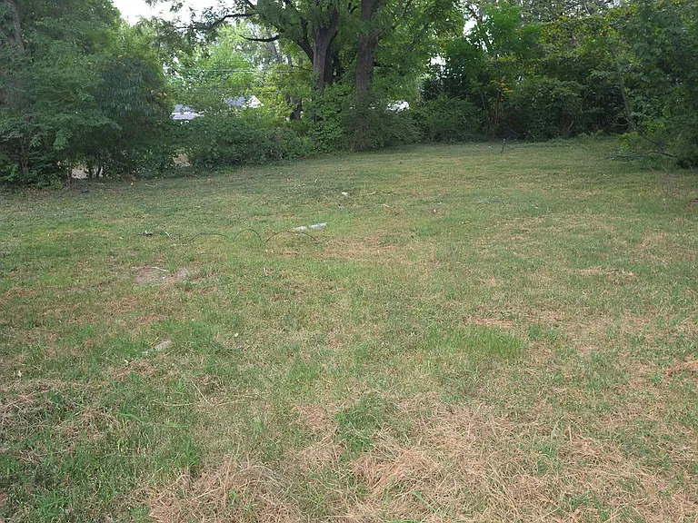 back yard