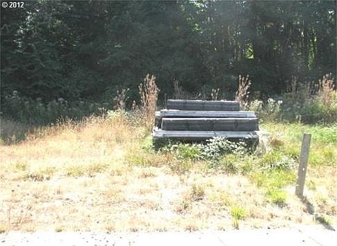 Lot 11