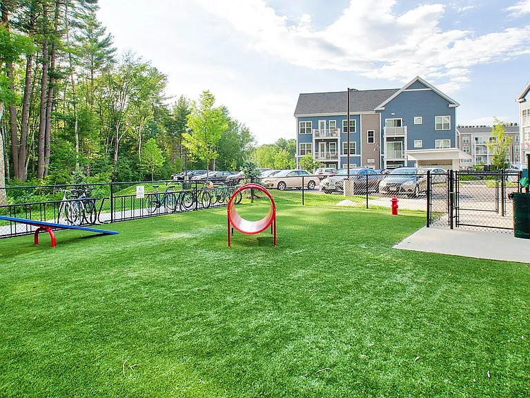 Open area for your dogs to be off leash