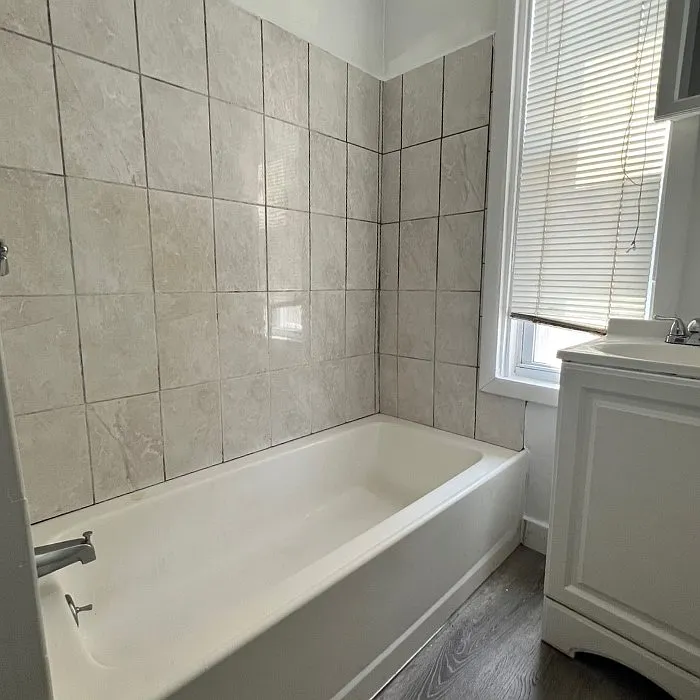 2 bed, 999 sqft, $2,300 — Photo 4