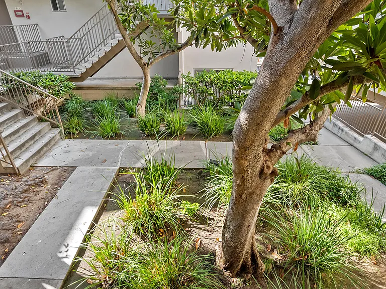 Rose Terrace Apartment Homes — Photo 6