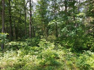 3505 S James Rd, Baldwin, MI 49304