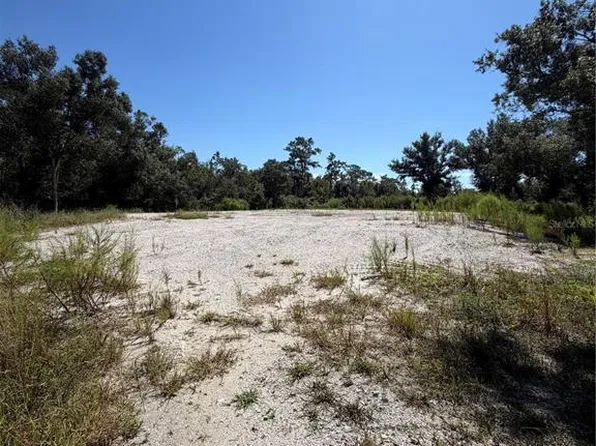 1428 E CHARLES STREET LOT 1, ARCADIA, FL 34266