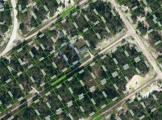 450 Apple Blossom Ct #18, Lake Placid, FL 33852