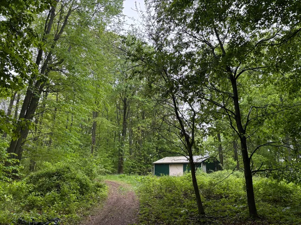 5220 Park Dr, Six Lakes, MI 48886