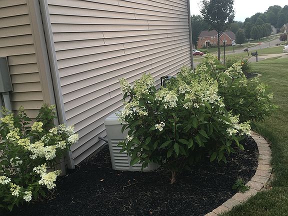 Whole house generator