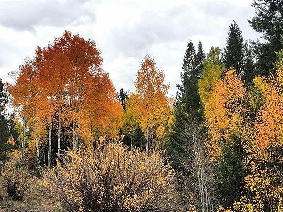 2nd image of TBD Forest Service Road 644 Seitz Creek