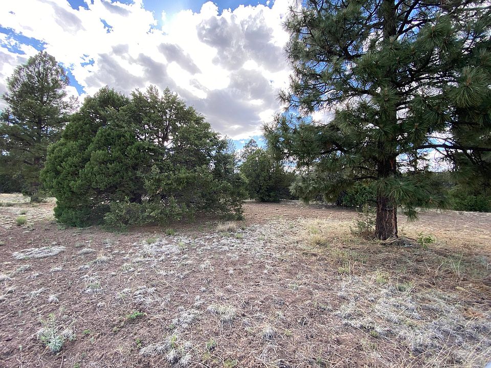 2nd image of 75 County Road 2223