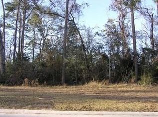 47 Post Shadow Estate Dr, Spring, TX 77389