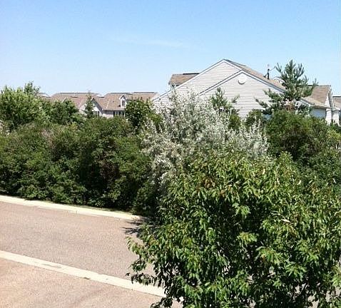 Beautiful treed view