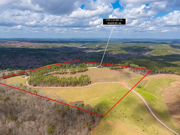 25th image of this home