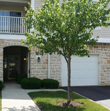 2nd image of 5668 Tuttle Mews Way