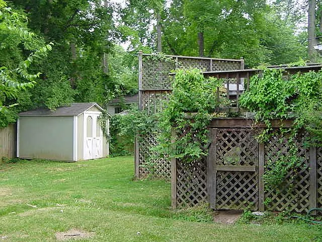 620 Pecan Ave — Photo 11