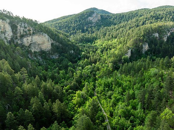 5th image of 20582 Whitewood Creek Rd