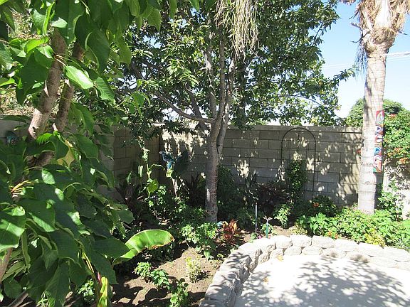 South Yard Garden Corner