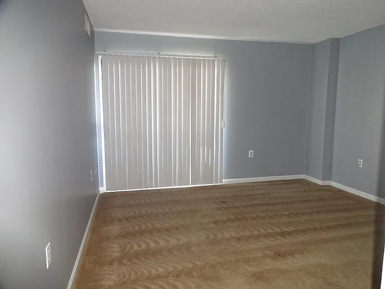 1301 N Courthouse Rd #1202 — Photo 10