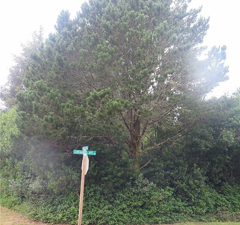 2nd image of 499 Centaurus Avenue SW