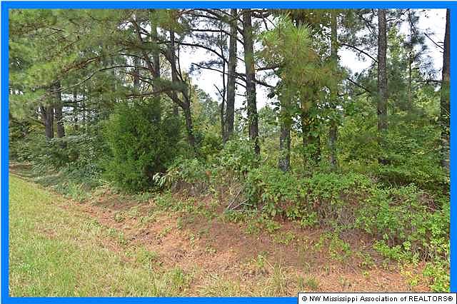 2nd image of 9174 Broadway Rd