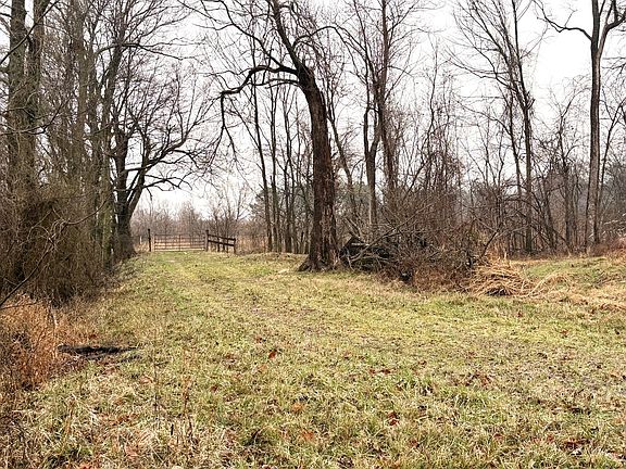 3rd image of 181 Clay Rd