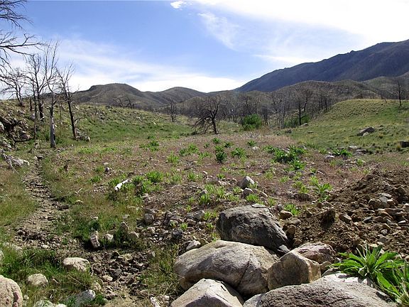 3rd image of Nhn Ranger Way