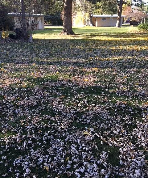 4413 Circle Pl NE #D — Photo 3