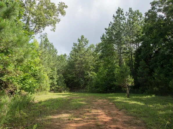 0 Old State Highway 69, Sugar Tree, TN 38380