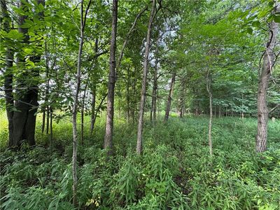 2541 County Rd D, Boyd, WI, 54726