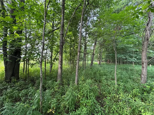 2541 County Rd D, Boyd, WI 54726