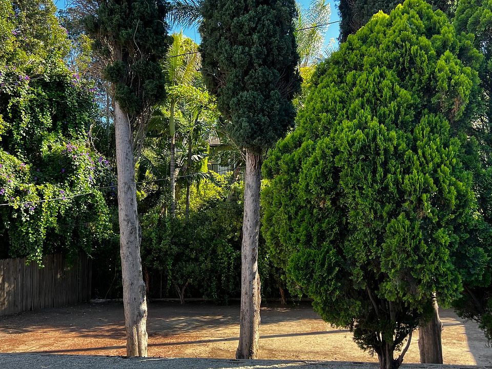 Large Backyard