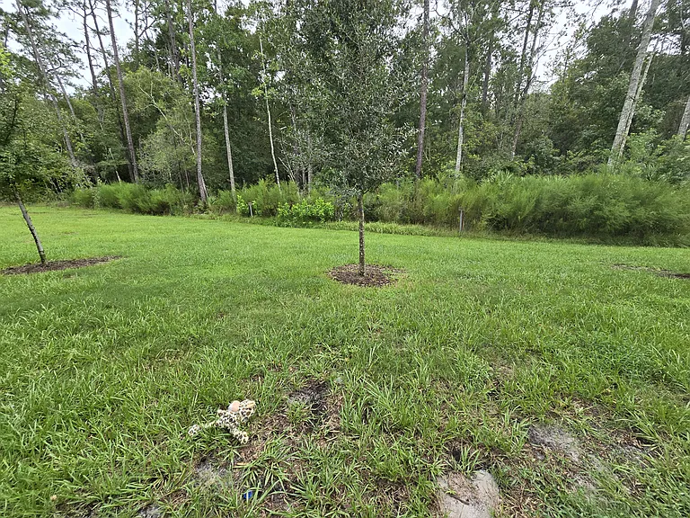 240 Pasadena Dr — Photo 11