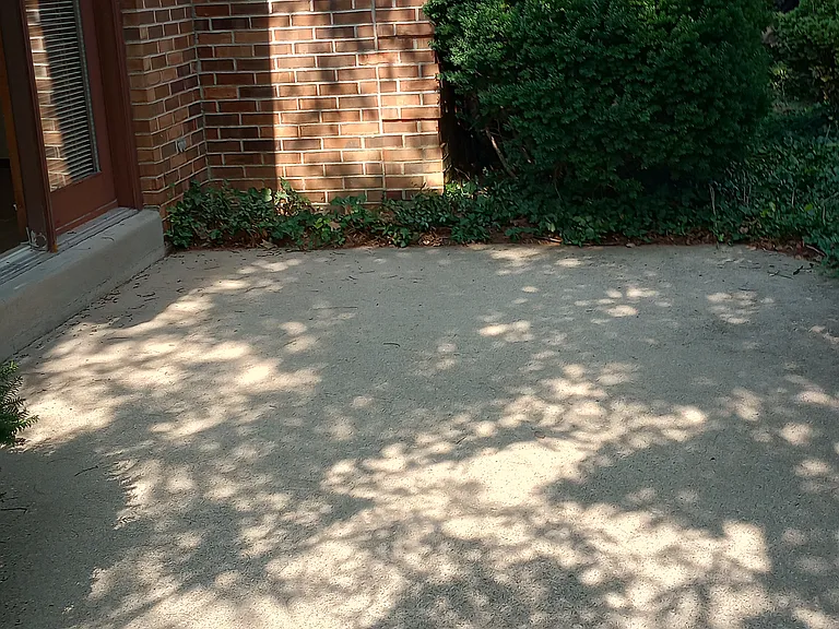 Back patio
