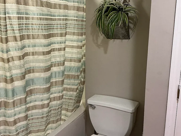 Bathroom Shower & Toilet