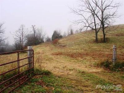 0 Wolf Rd, Walnut Shade, MO, 65771