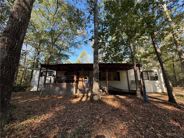 17566 Prudes Creek Rd, Brookwood, AL 35444