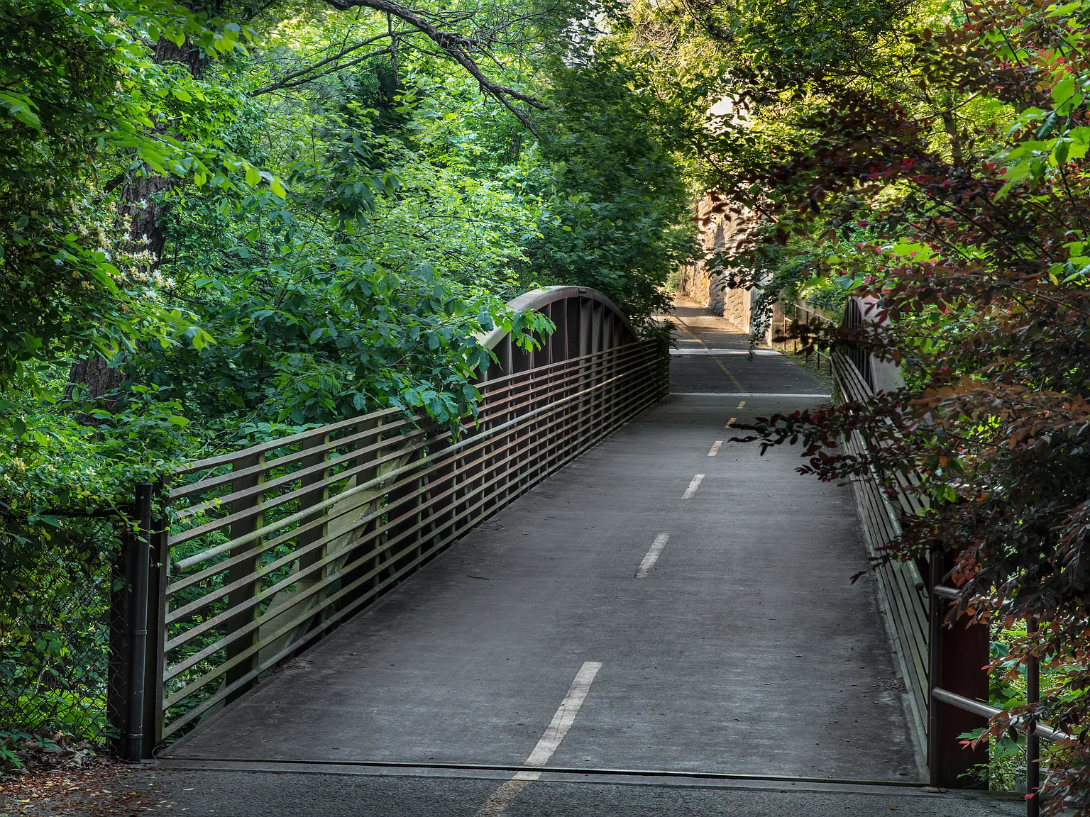 Overton Rise — Photo 4