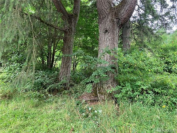 Near located far behind the existing home site. this conveniently located small stand of large trees could be easily incorporated into your site development plans. 
