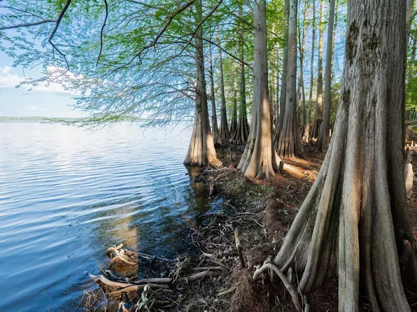 Oak Ridge Rd, Ore City, TX 75683