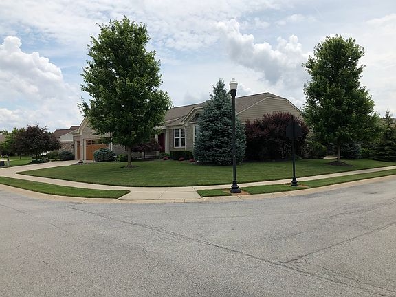 Corner Hummingbird & Sparrow