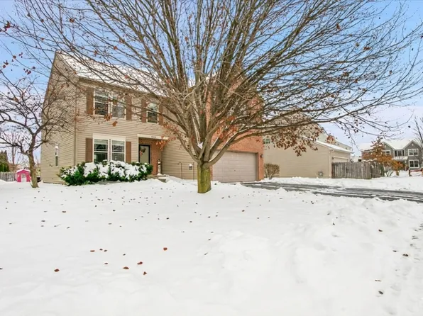 806 Treesdale Way, Joliet, IL 60431